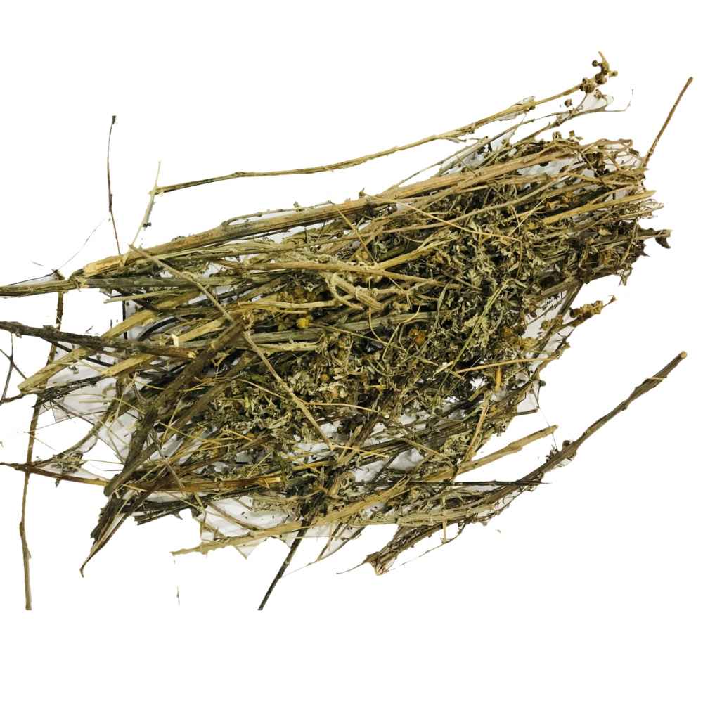Afsanteen  - Artemisia Absinthium Bulk Supplier@TheWholesaleCo Prices