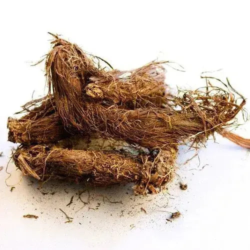 Beg karfas - Bhootkeshi – Selinum vaginatum Bulk Supplier@TheWholesaleCo Prices