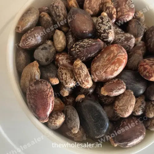 Castor Seed Liquid Extract - Ricinus Communis Linn Product vendor