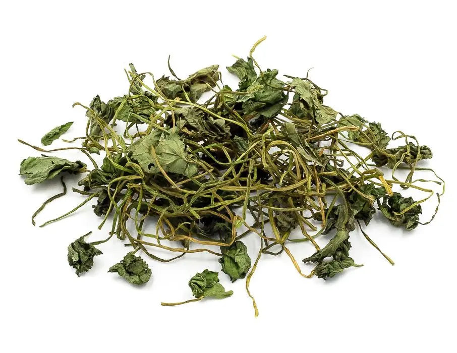 Gotu Kola Liquid Extract - Centella asiatica Product vendor