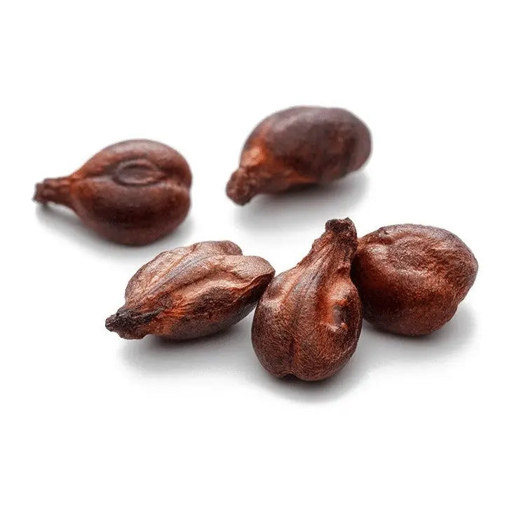 Grape Seed Extract - Vitis Vinifera Product vendor