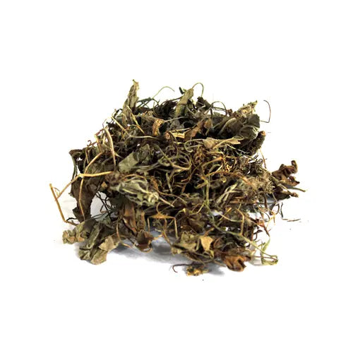 Gul banafsha Extract - Viola Odorata Product vendor