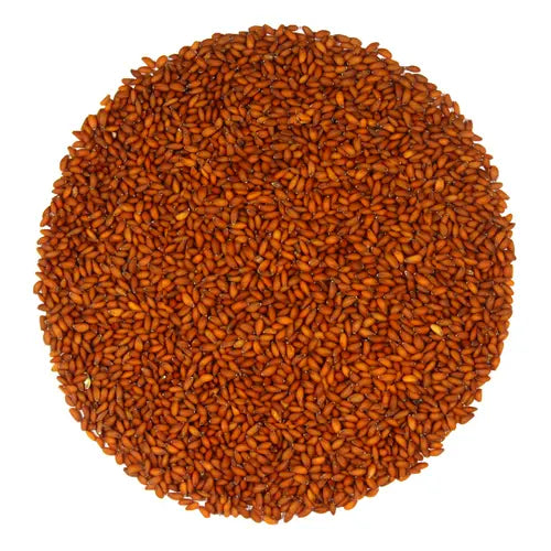 Halim Seeds Extract - Garden Cress - Lepidium Sativum Linn Product vendor