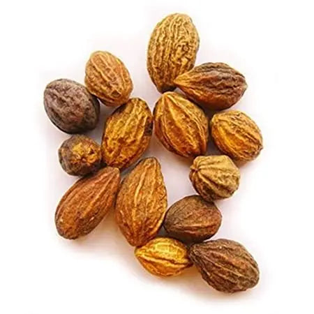 Haritaki Extract - Terminalia chebula Product vendor