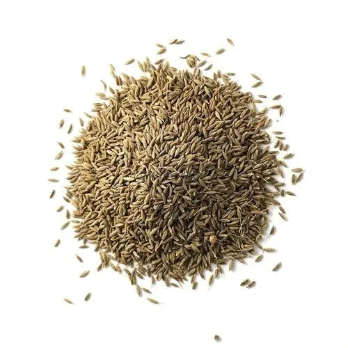 Jeera - Cumin seed - Cuminum cyminum | Buy Spices at Wholesale Price