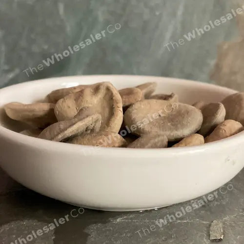 Kuchla Beej - Nux Mica - Strychnos nux-vomica Bulk Supplier@TheWholesaleCo Prices