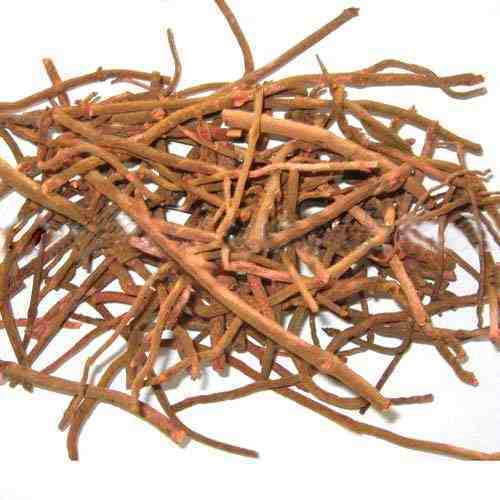 Manjistha Extract - Indian Madder - Rubia cordifolia Product vendor