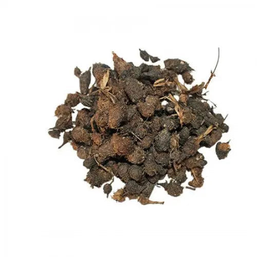 Nagarmotha Liquid Extract - Cyperus scariosus Product vendor