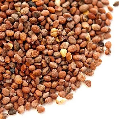 Radish Seeds Extract - Raphanus sativus Product vendor