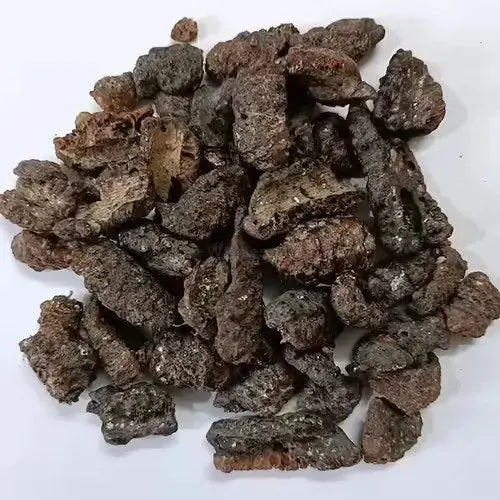 Lakh Pipal - Lakh Peepal - Ficus Religiosa - Shellac Lac - Lakh Kachli | TheWholesalerCo