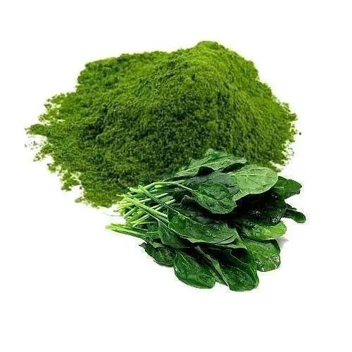 SPINACH-Vegetable Powder-पालक, கீரை, পালং শাক, ಸೊಪ್ಪು, ചീര, పాలకూర| Wholesale price 1 Kg,5 Kg |