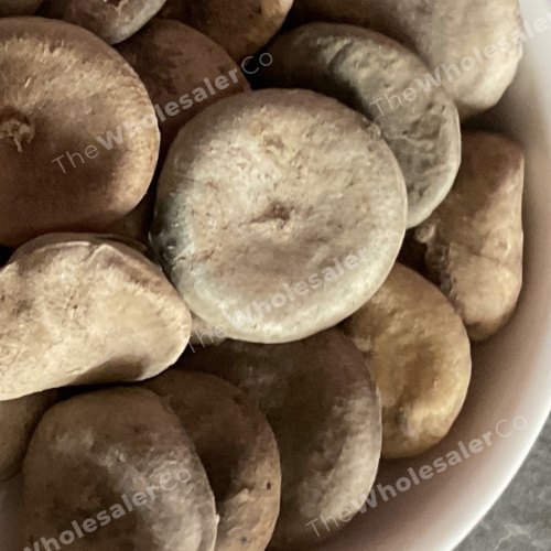 Kuchla Beej - Nux Mica - Strychnos nux-vomica - TheWholesalerCo