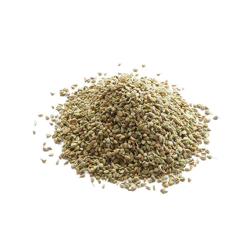 Ajwain - Carom - 캐러웨이 - Trachyspermum ammi - Carum Copticum