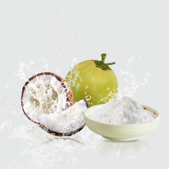 Tender coconut water powder @TheWholesalerCo