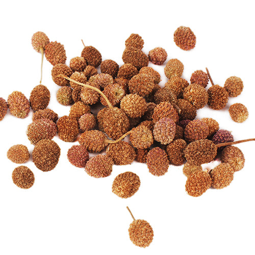 Sphaeranthus indicus - Gorakh mundi/Globe Thistle-TheWholesalerCo-exports-Indian-pure-jadi-booti-herbs-spices-powder-oil-extracts