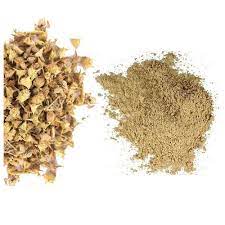 Tribulus terrestris - Gokhru/Gokshura/Small Caltrops-TheWholesalerCo-exports-bulk-Indian-pure-original-jadi-booti-whole-herbs-spices-herbal-powder