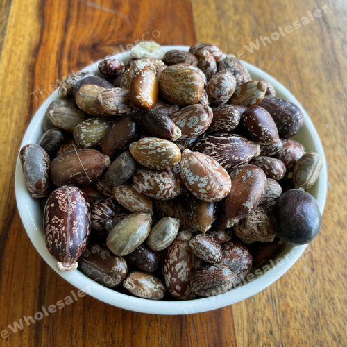 thewholesalerco-Beej Arandi - Ricinus Communis Linn - Castor Seeds