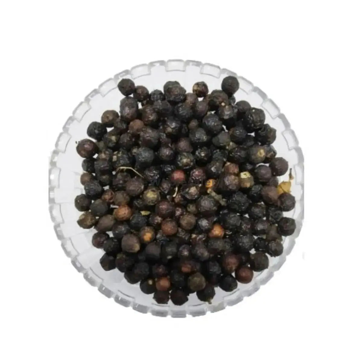 Aaloo Baloo Vaalo - Sour Cherry - Prunus Cerasus | TheWholesalerCo