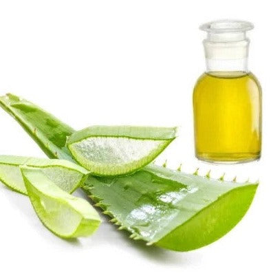 Aloe Vera Oil - Aloe vera - Essential oil@WholesalerCo