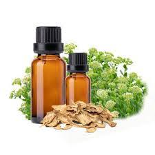 Angelica Oil - Angelica Archangelica - Essential Oil@WholesalerCo