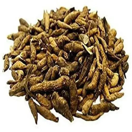 Atish Kadwi - Ativisha Bitter - Atiwisha - Ateesh - Aconitum heterophyllum | TheWholesalerCo