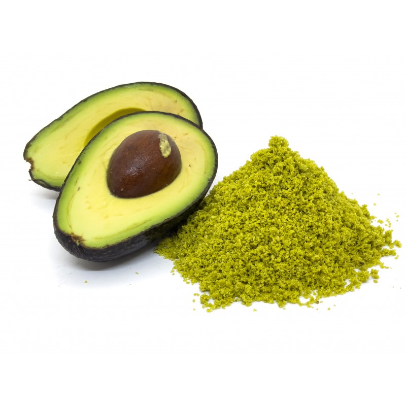 Avocado Powder-Persea Americana- thewholesalerco-exporter