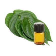 Betel leaf Oil - Piper betle - Essential Oil@WholesalerCo