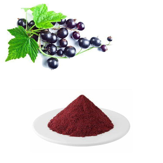 Black Currant Powder - Ibes nigrum @TheWholesalerCo