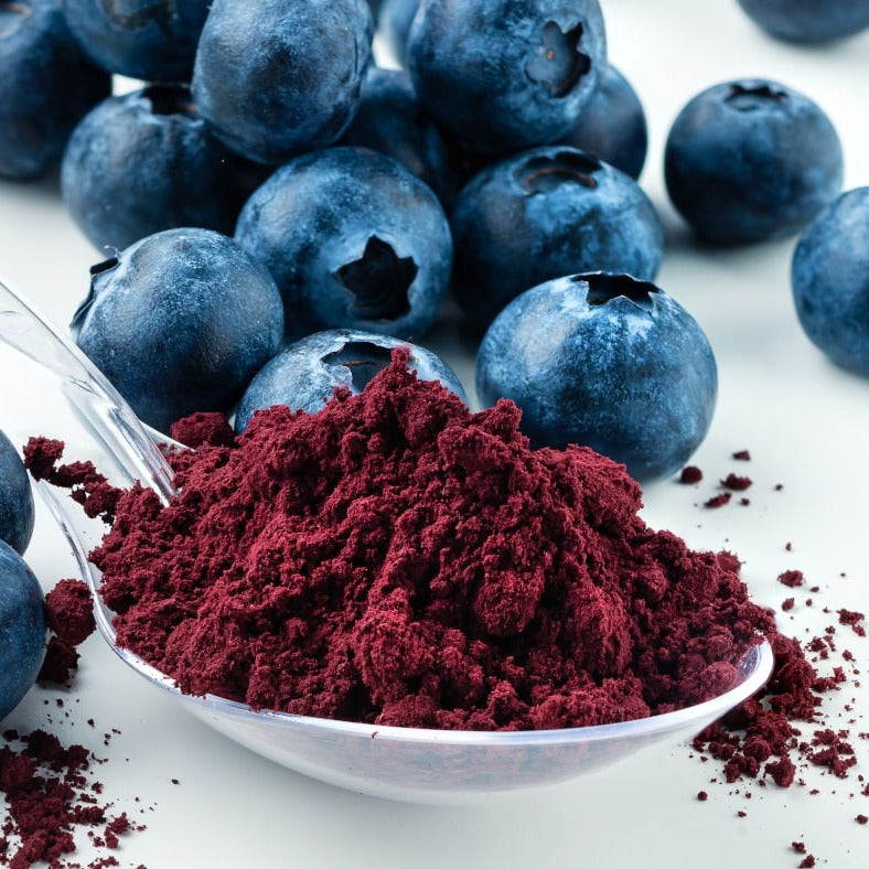 Blueberry Powder - Vaccinium corymbosum - thewholesalerco-exporter