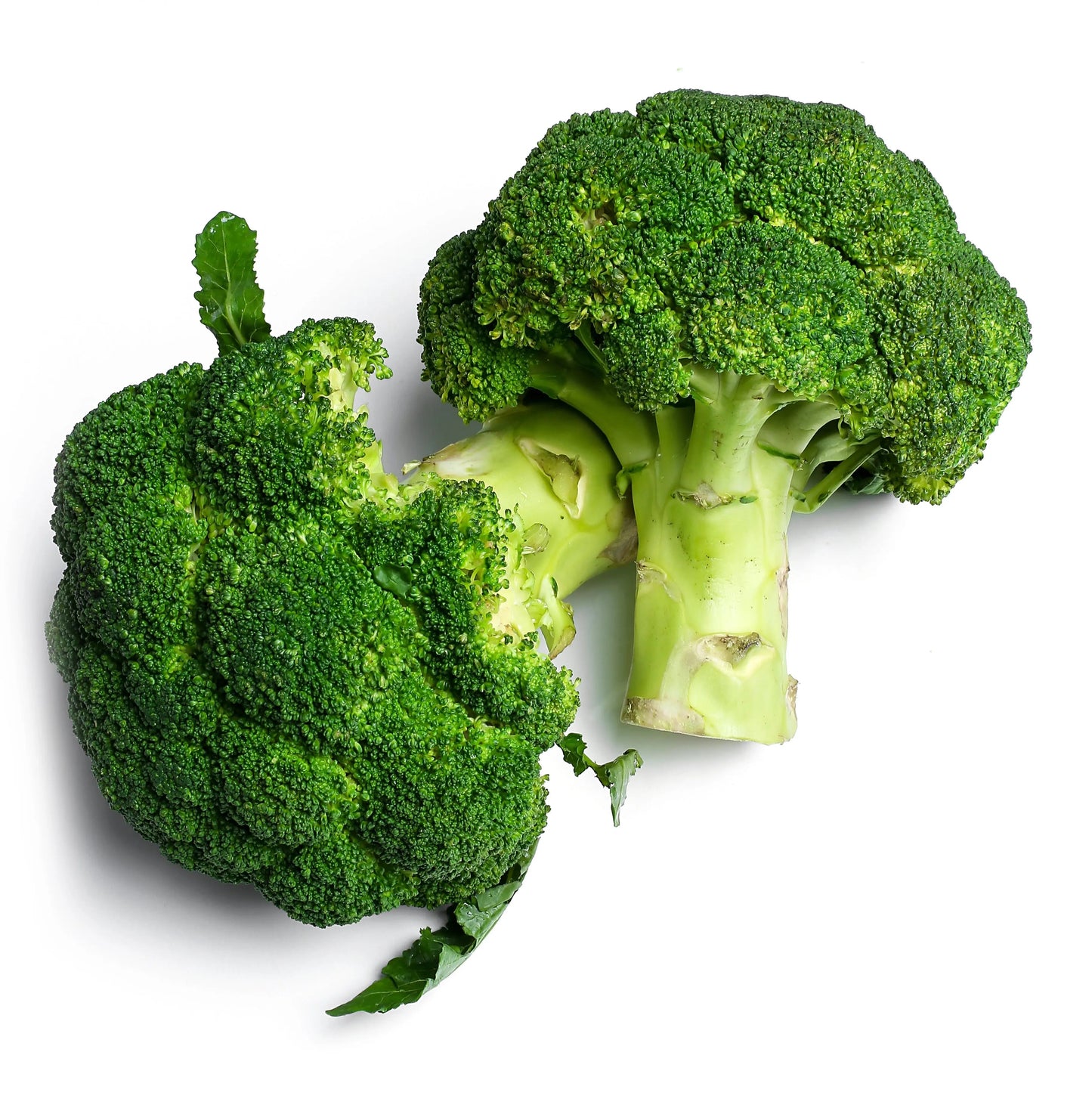 Broccoli Vegetable Extract - Brassica oleracea Product vendor