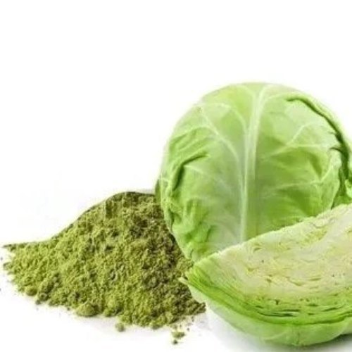 Cabbage Vegetable Extract - Brassica oleracea