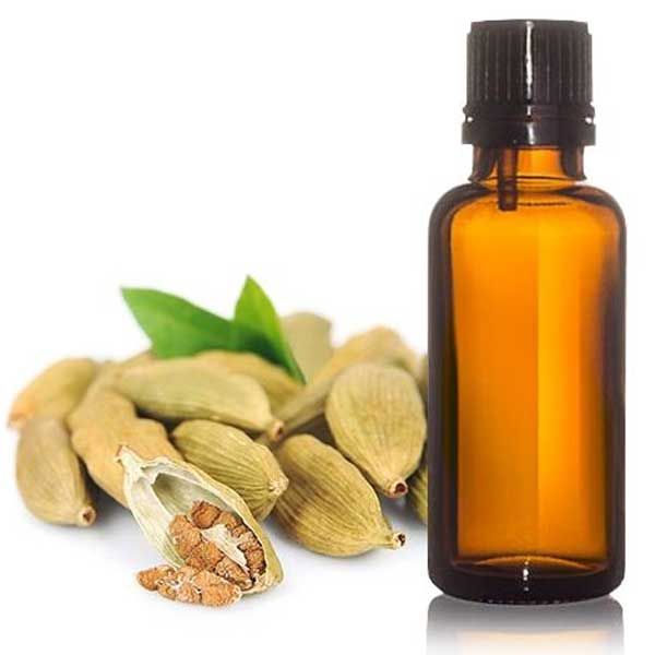 Cardamom Oil - Elettaria Cardamomum - Essential Oil@WholesalerCo