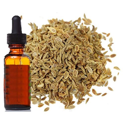 Celery Seed Oil - Apium graveolens - Essential Oil@WholesalerCo