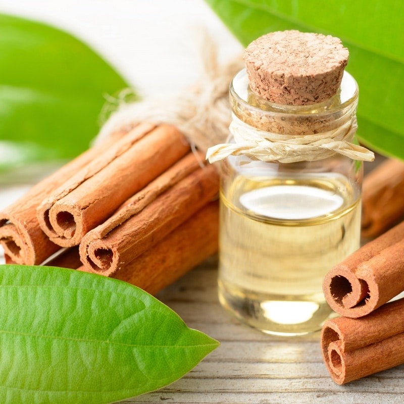 Cinnamon Leaf Oil - Cinnamomum zeylanicum