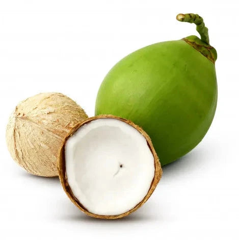 Coconut Fruit Extract - Cocos nucifera L