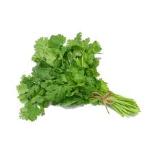 Coriander Leaf Extract - Coriandrum sativum