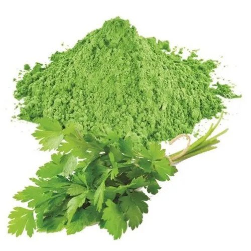 Coriander Leaves Powder-Coriandrum sativum- thewholesalerco-exporter