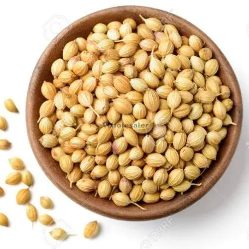 Corriander - Coriandrum sativum Product vendor