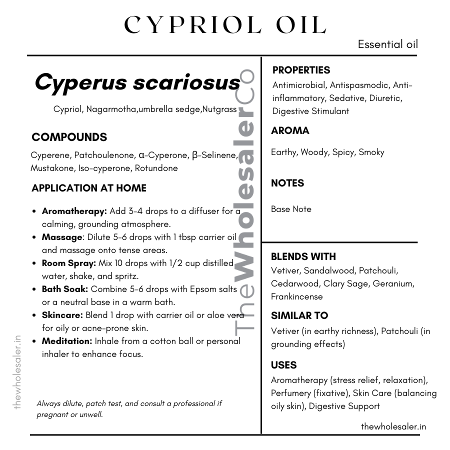 Cyperus scariosus essential oil with common name, active compounds, properties,aroma, notes,blends with, similar to and uses of Nagarmotha/nutgrass essential oil