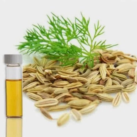 Dill Seed Oil - Anethum Graveolens - Essential oil@WholesalerCo