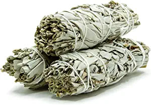 Dry Sage - Salvia officinalis - Common Sage | TheWholesalerCo |