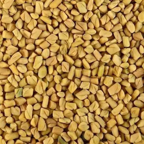 Fenugreek Seed Liquid Extract - Trigonella foenum-graecum Product vendor