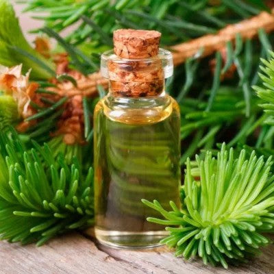 Fir Needle Oil - Abies alba - Essential oil@WholesalerCo