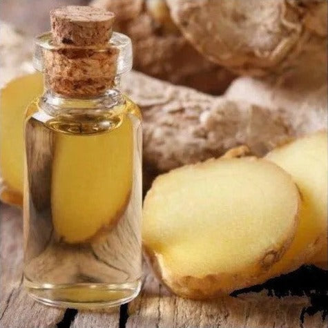 Galangal Oil - Alpinia galanga - Essential oil@WholesalerCo