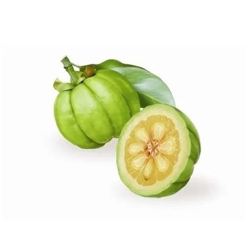 Garcinia Cambogia Extract WholesalerCo