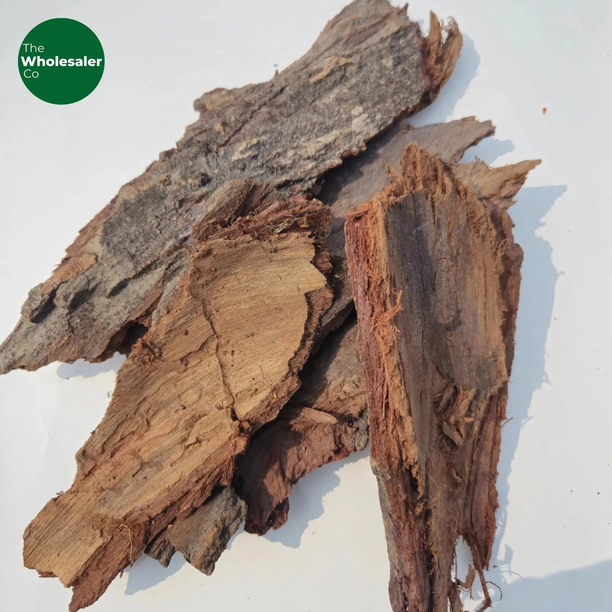 Gular wood, Cut - Ficus racemosa – TheWholesalerCo