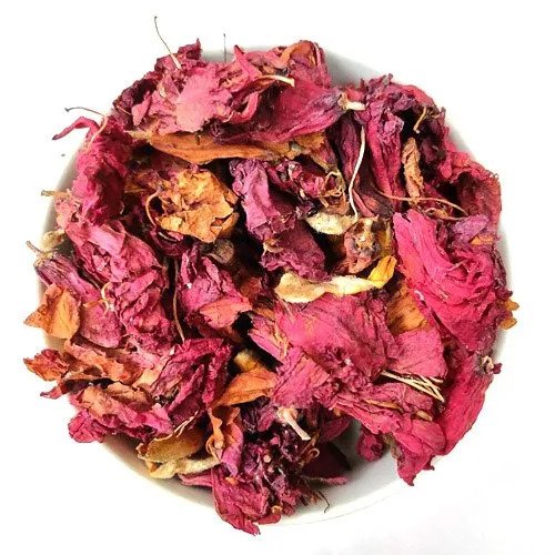 Hibiscus Flower - Hibiscus sinensis - Gudhal Phool - Gudhal Flower | TheWholesalerCo