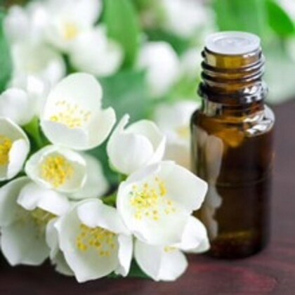 Jasmine - Mogra Oil - Jasminum grandiflorum - Essential oil@WholesalerCo