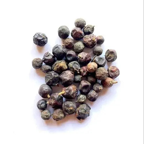 Juniper Berry Extract - Juniperus communis Linn Product vendor