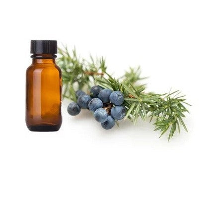 Juniper Berry Oil - Juniperus Communis - Essential oil@WholesalerCo